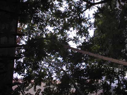 image039.jpg