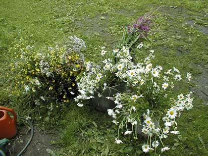 image005.jpg